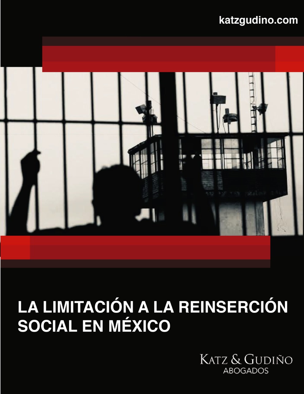 LA LIMITACIÓN A LA REINSERCIÓN SOCIAL EN MÉXICO