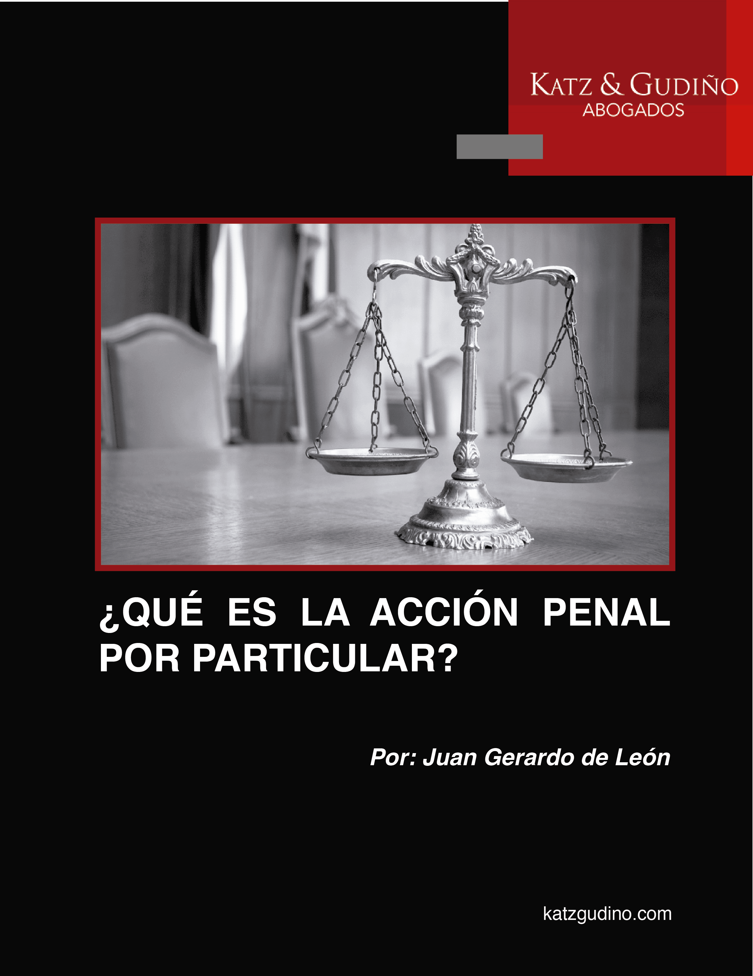 ¿QUÉ ES LA ACCIÓN PENAL POR PARTICULAR?